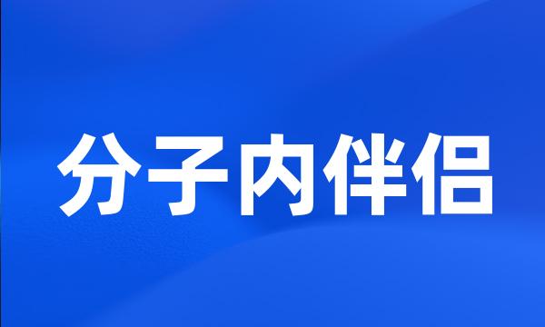 分子内伴侣