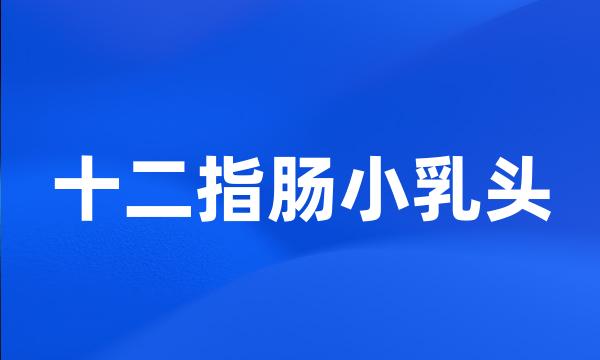 十二指肠小乳头