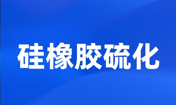 硅橡胶硫化