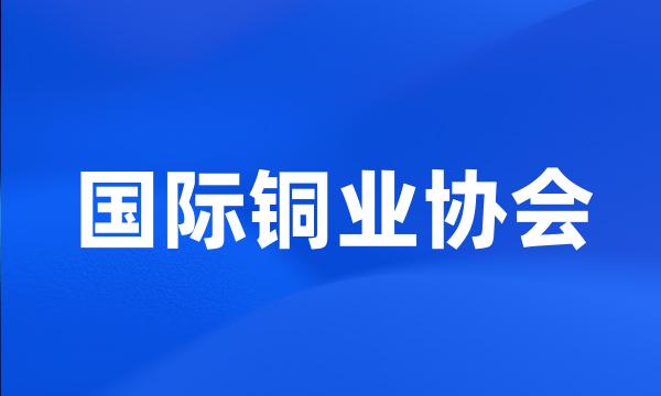 国际铜业协会