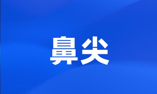 鼻尖