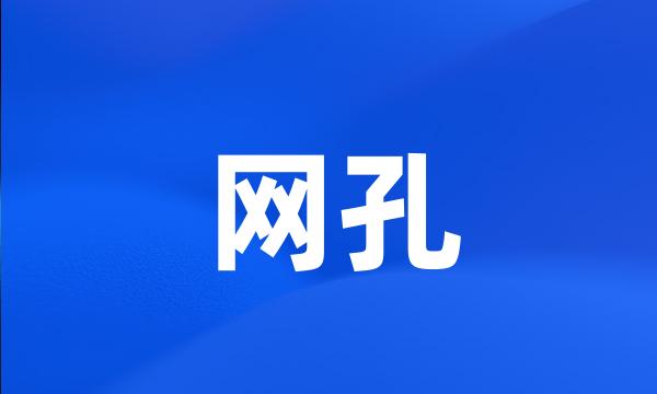 网孔