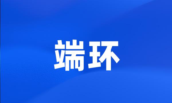 端环