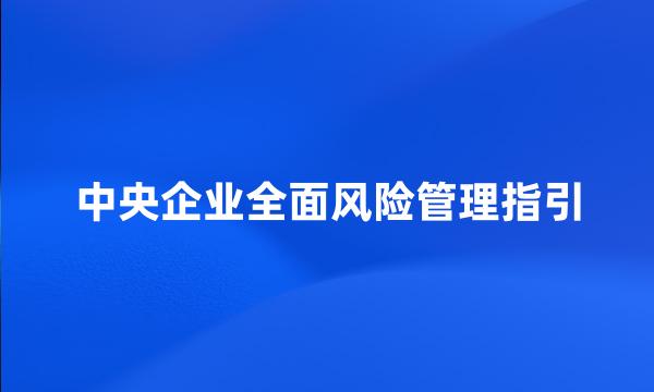 中央企业全面风险管理指引