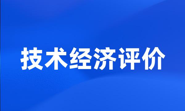 技术经济评价