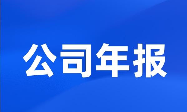 公司年报