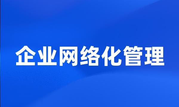 企业网络化管理