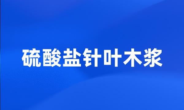 硫酸盐针叶木浆