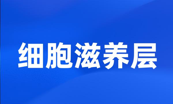 细胞滋养层