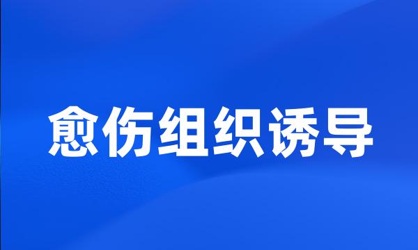 愈伤组织诱导