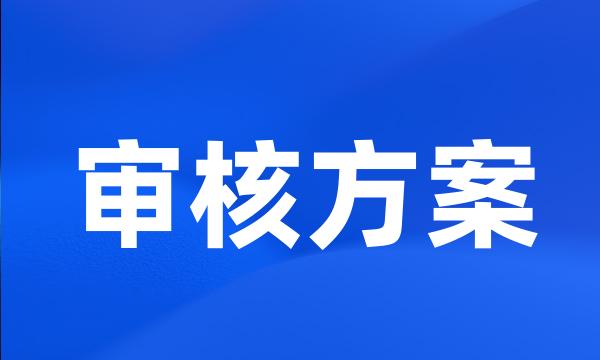 审核方案