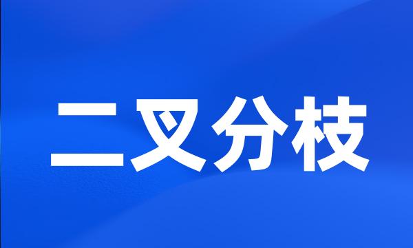 二叉分枝