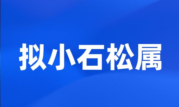 拟小石松属