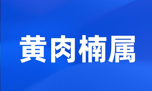 黄肉楠属