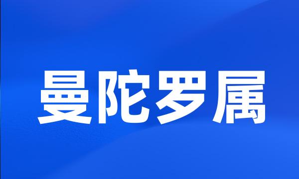 曼陀罗属