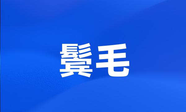 鬓毛