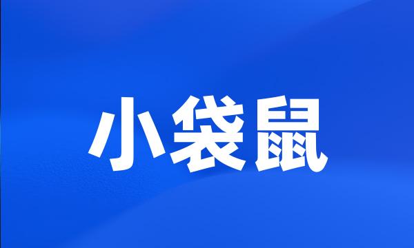 小袋鼠