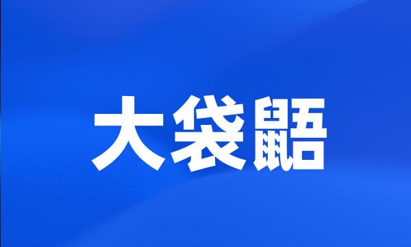 大袋鼯