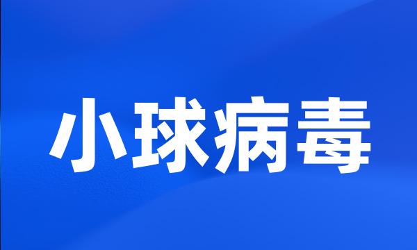 小球病毒