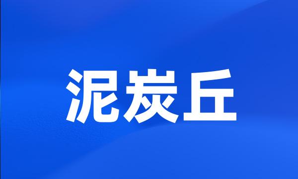 泥炭丘