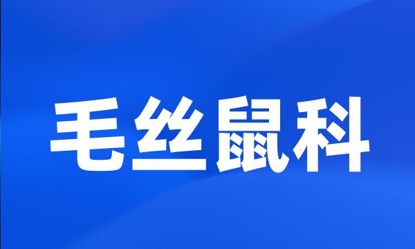 毛丝鼠科