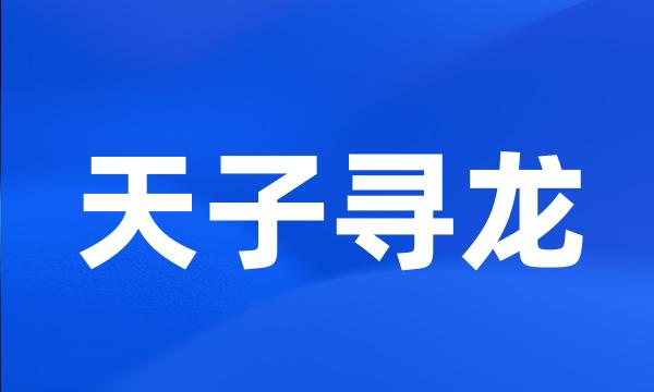 天子寻龙