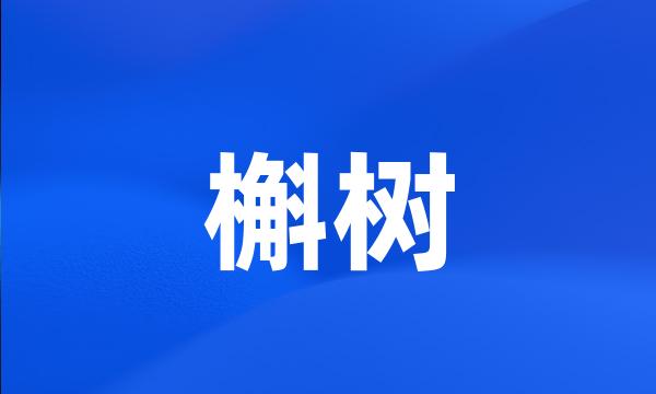 槲树