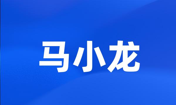 马小龙