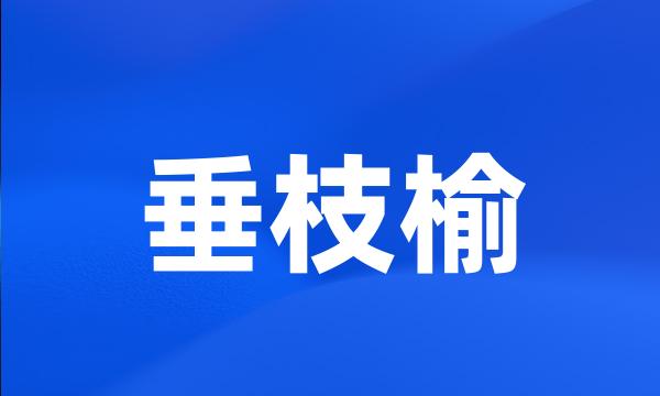 垂枝榆