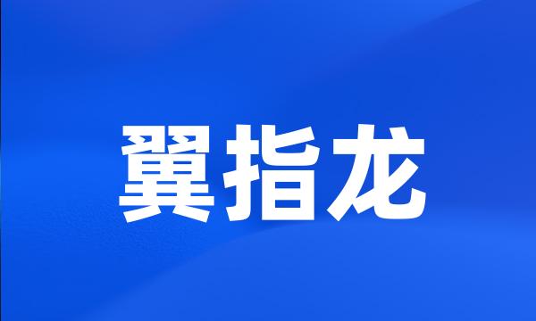 翼指龙