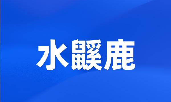 水鼷鹿