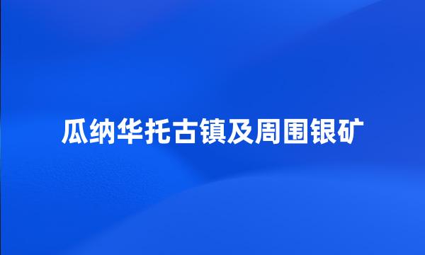 瓜纳华托古镇及周围银矿