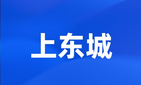 上东城