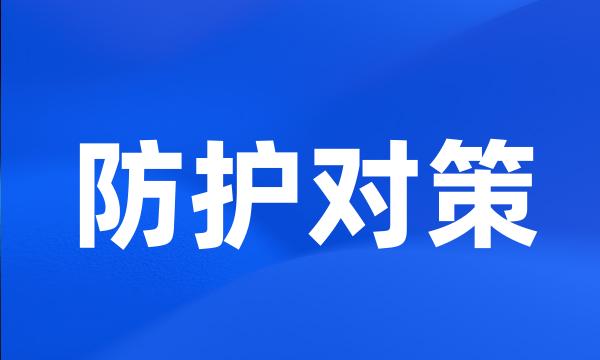 防护对策