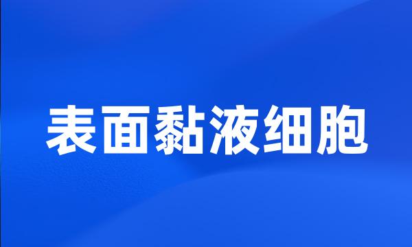 表面黏液细胞