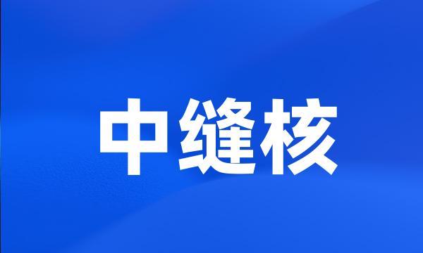 中缝核