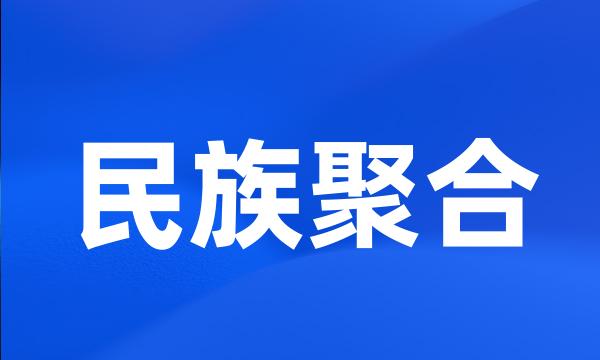 民族聚合