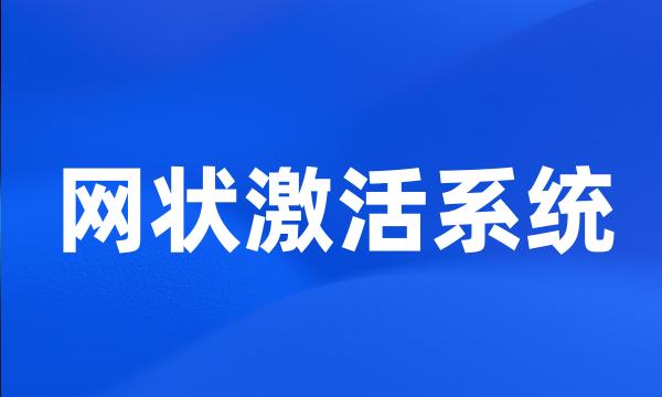 网状激活系统