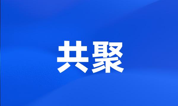 共聚