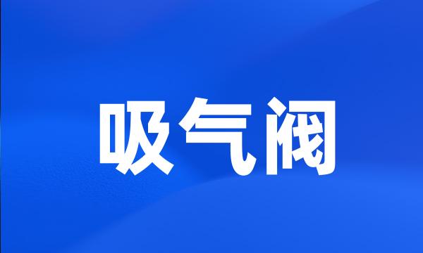 吸气阀