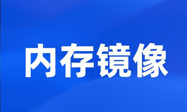 内存镜像