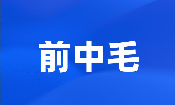 前中毛