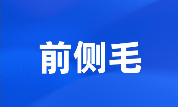 前侧毛