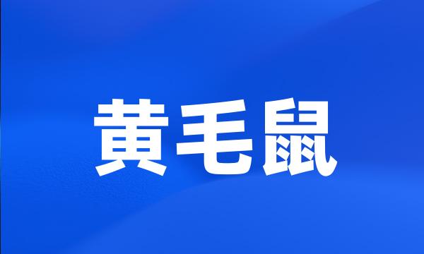 黄毛鼠