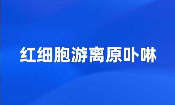 红细胞游离原卟啉