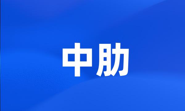 中肋