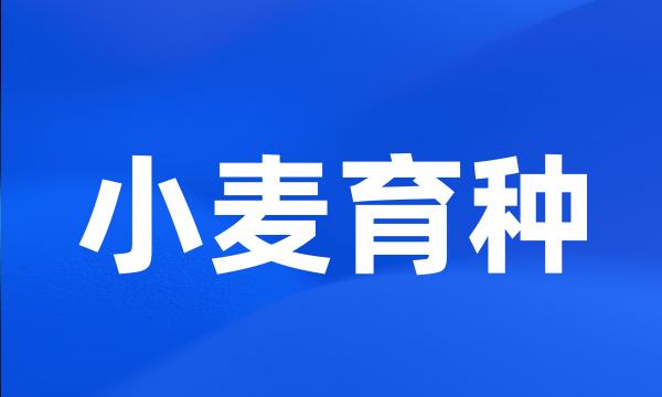 小麦育种