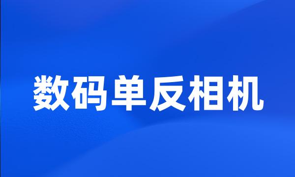 数码单反相机