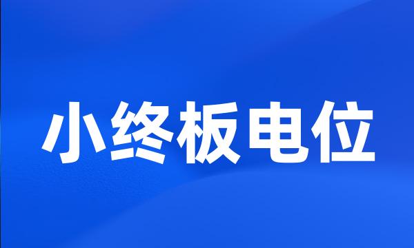 小终板电位