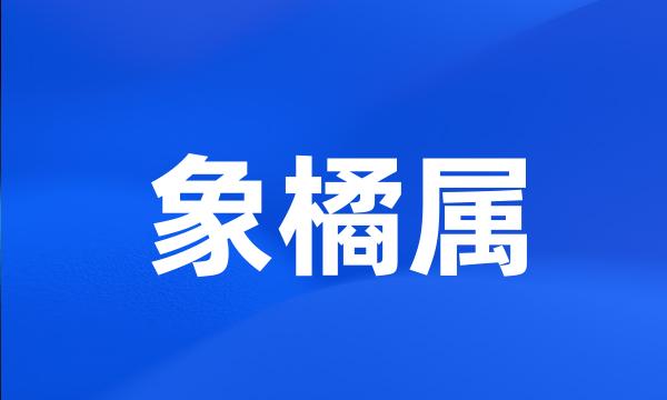 象橘属